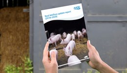 Real Welfare update report 2018–2020